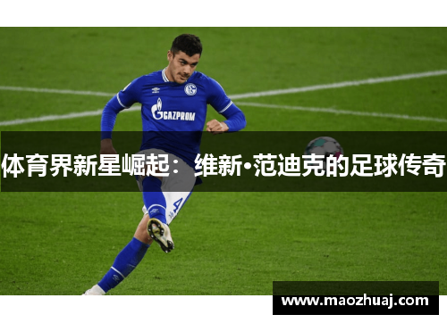 体育界新星崛起：维新·范迪克的足球传奇